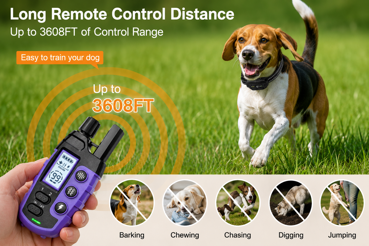 3300Ft Range Remote Dog Training Collar