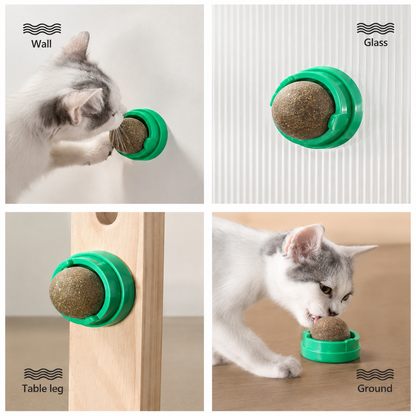 Catnip-Infused Wall-Mounted Cat Toy